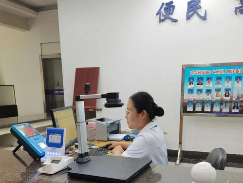 嘉興科技城大橋鎮便民服務中心公用事業服務窗口正式啟用，提供全域通辦與信息技術咨詢服務